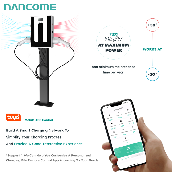 Public Electric Car Charging Station